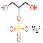 Magnesium Glycerophosphate Suppliers
